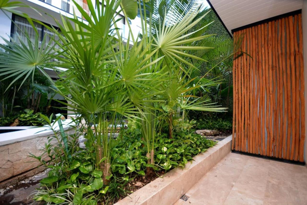 פלאייה דל כרמן Cute Studio Steps From The Beach By Yeah מראה חיצוני תמונה